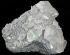 Gemmy Calcite Crystals On Matrix - Meikle Mine, Nevada #33715-1